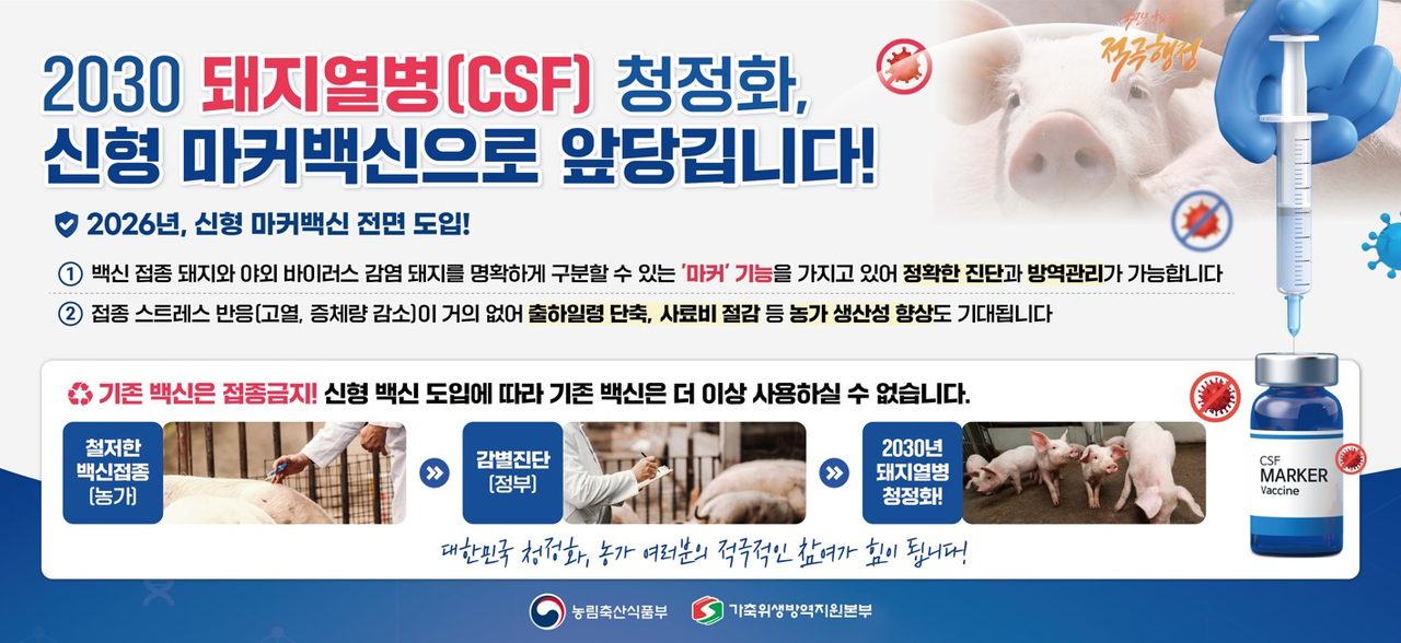 돼지열병 마커백신 접종 명령…전국 양돈농가, 기존 생독백신은 반납해야