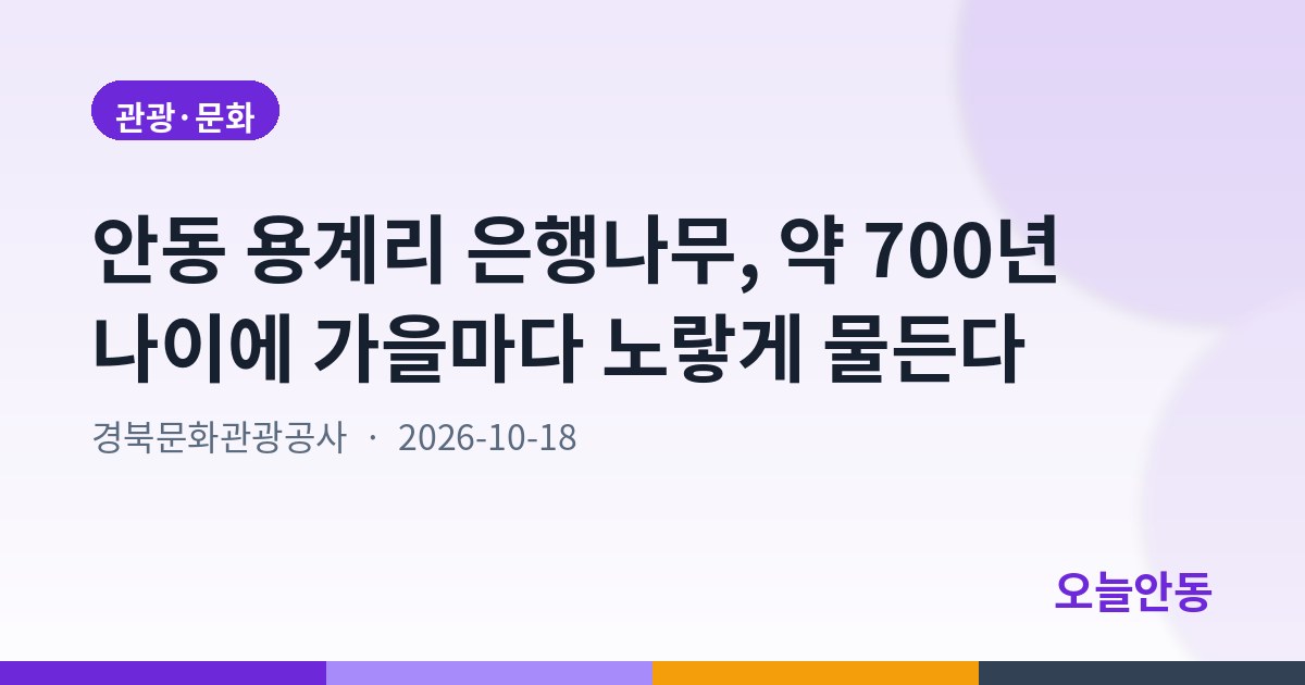 안동 용계리 은행나무, 약 700년 나이에 가을마다 노랗게 물든다