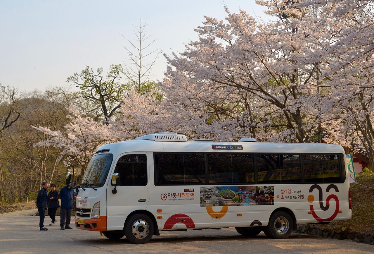 안동시티투어 버스, 3월부터 본격 운행