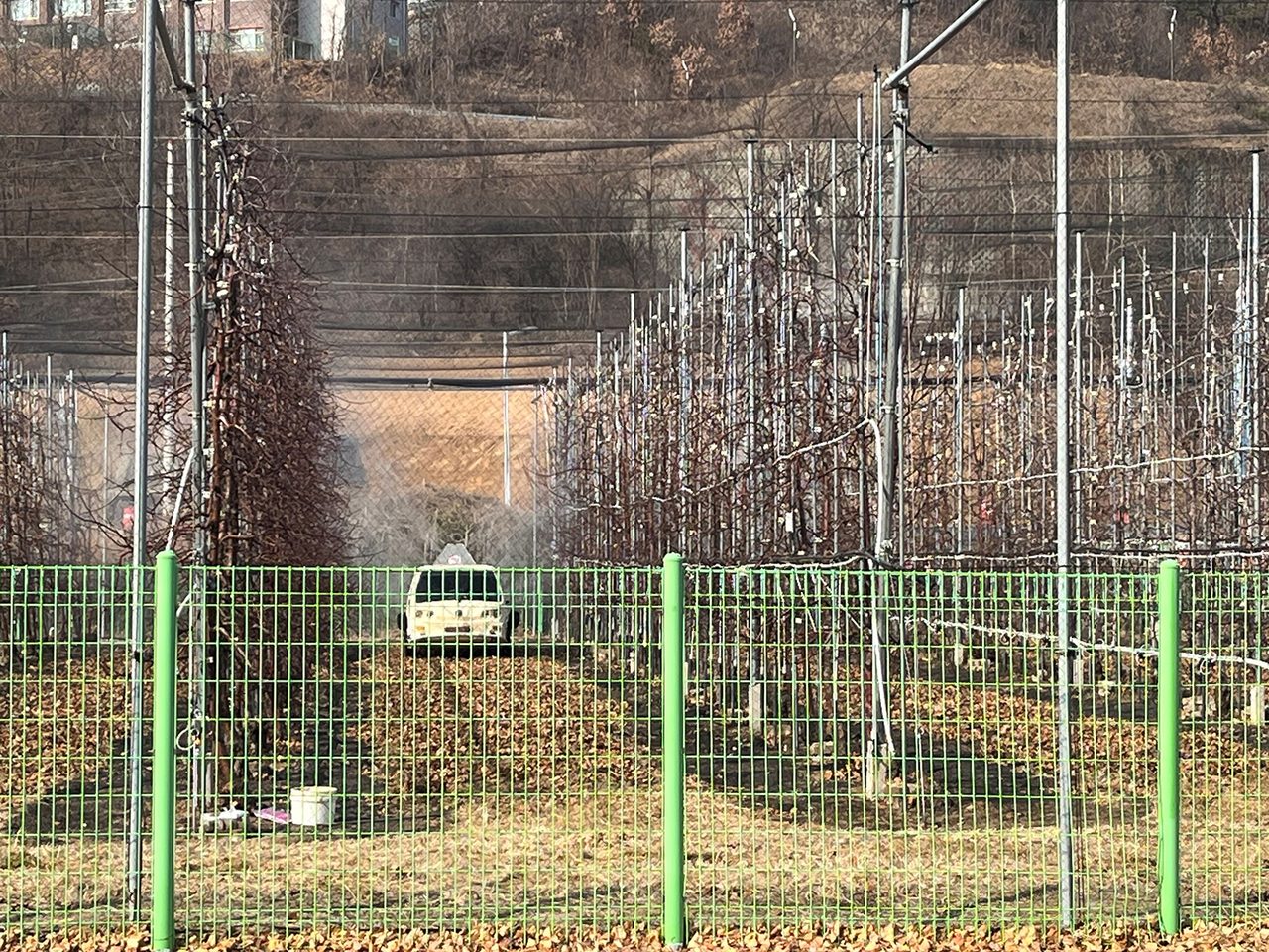 안동시, 사과·배 농가 과수화상병 예방 방제 추진
