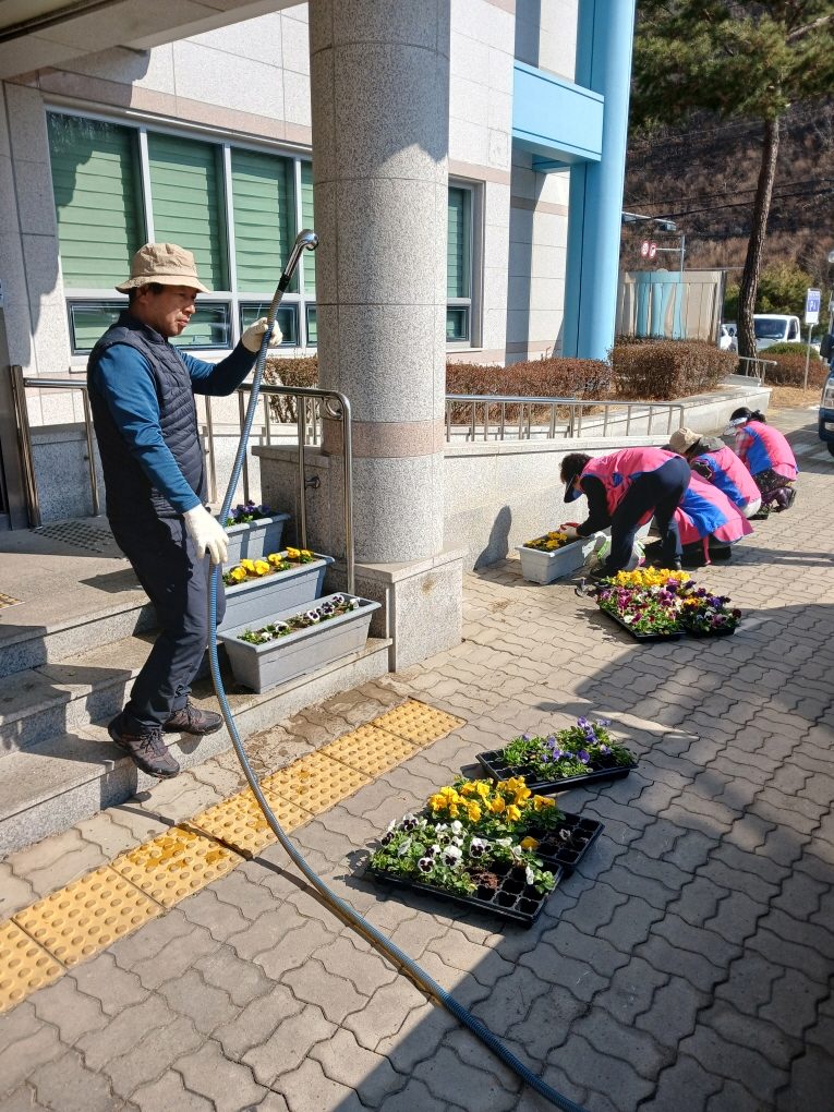 안동시 안기동, 쾌적한 가로환경 위해 사계절 꽃묘 식재