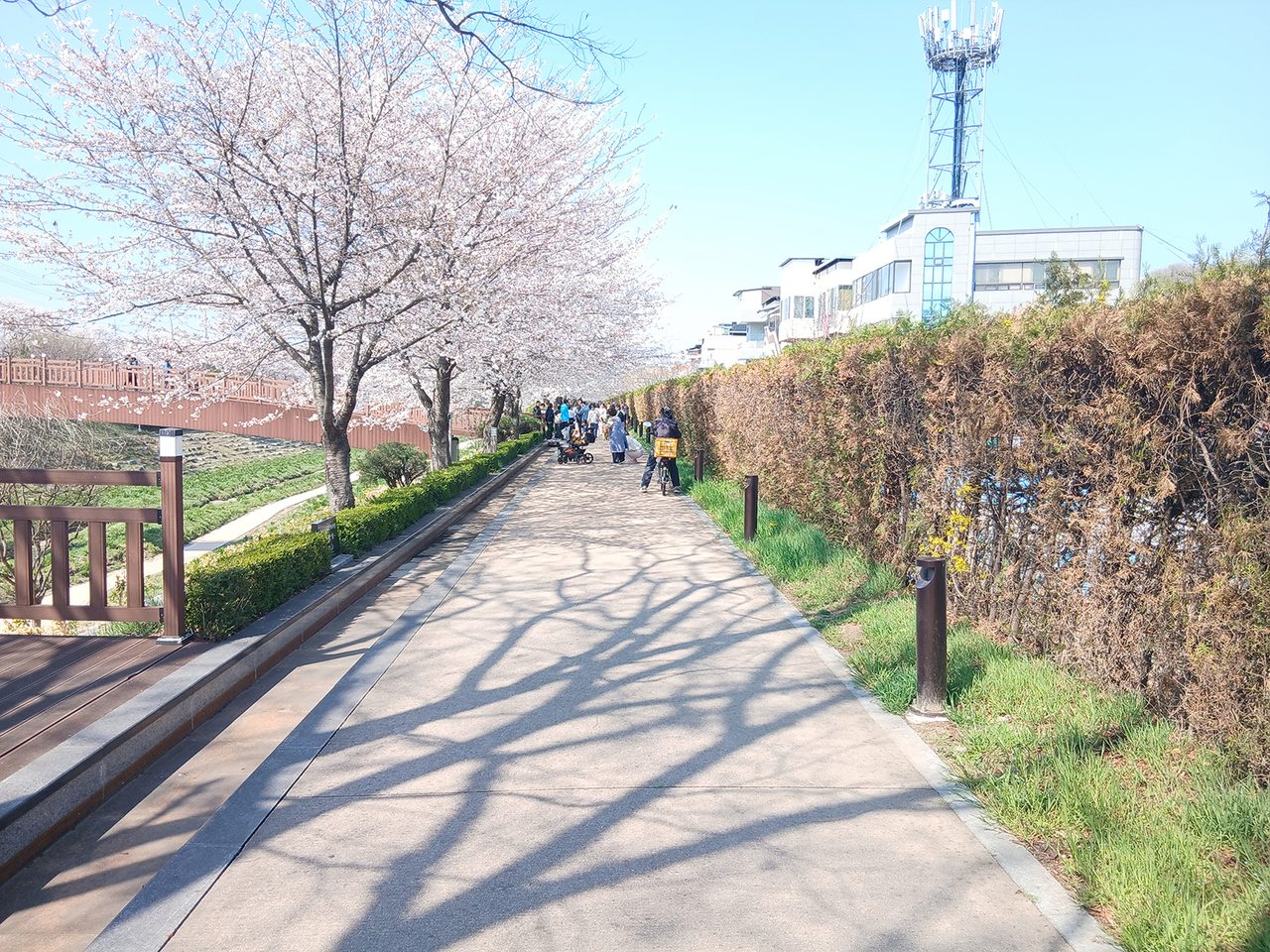 안동시 태화동, 천리천 제방산책로 새단장