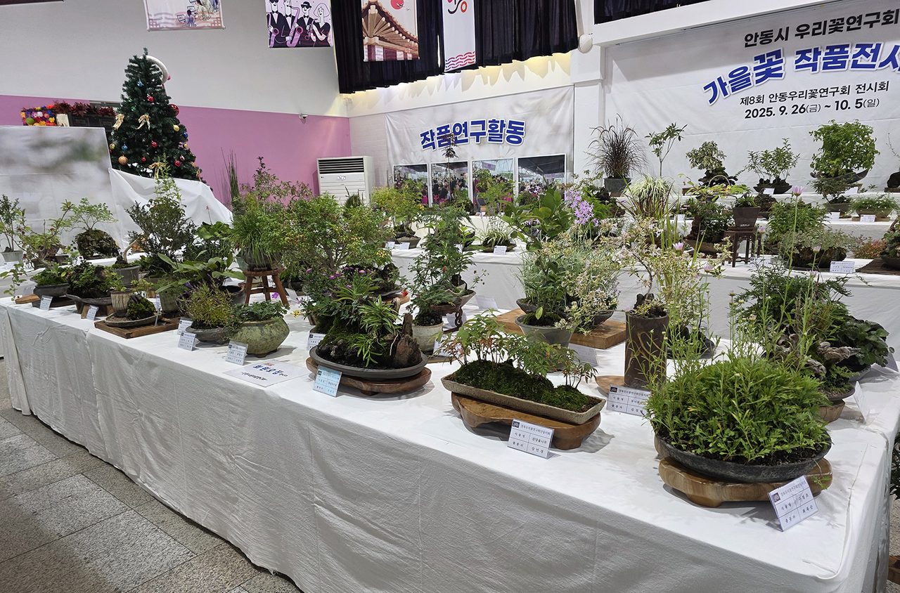 ‘제9회 안동시우리꽃연구회 우리꽃 전시회’ 개최
