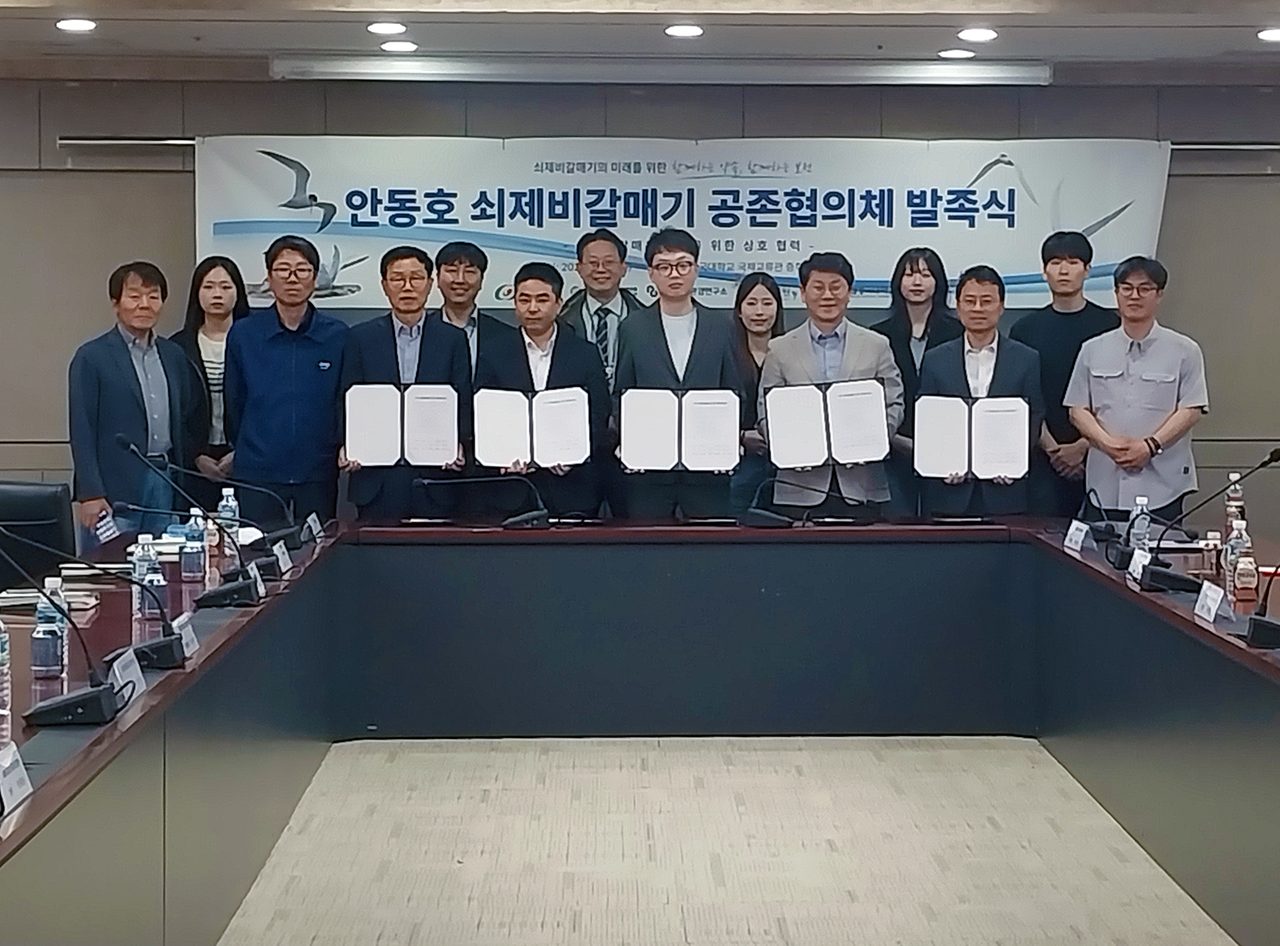 안동 쇠제비갈매기 공존협의체 출범
