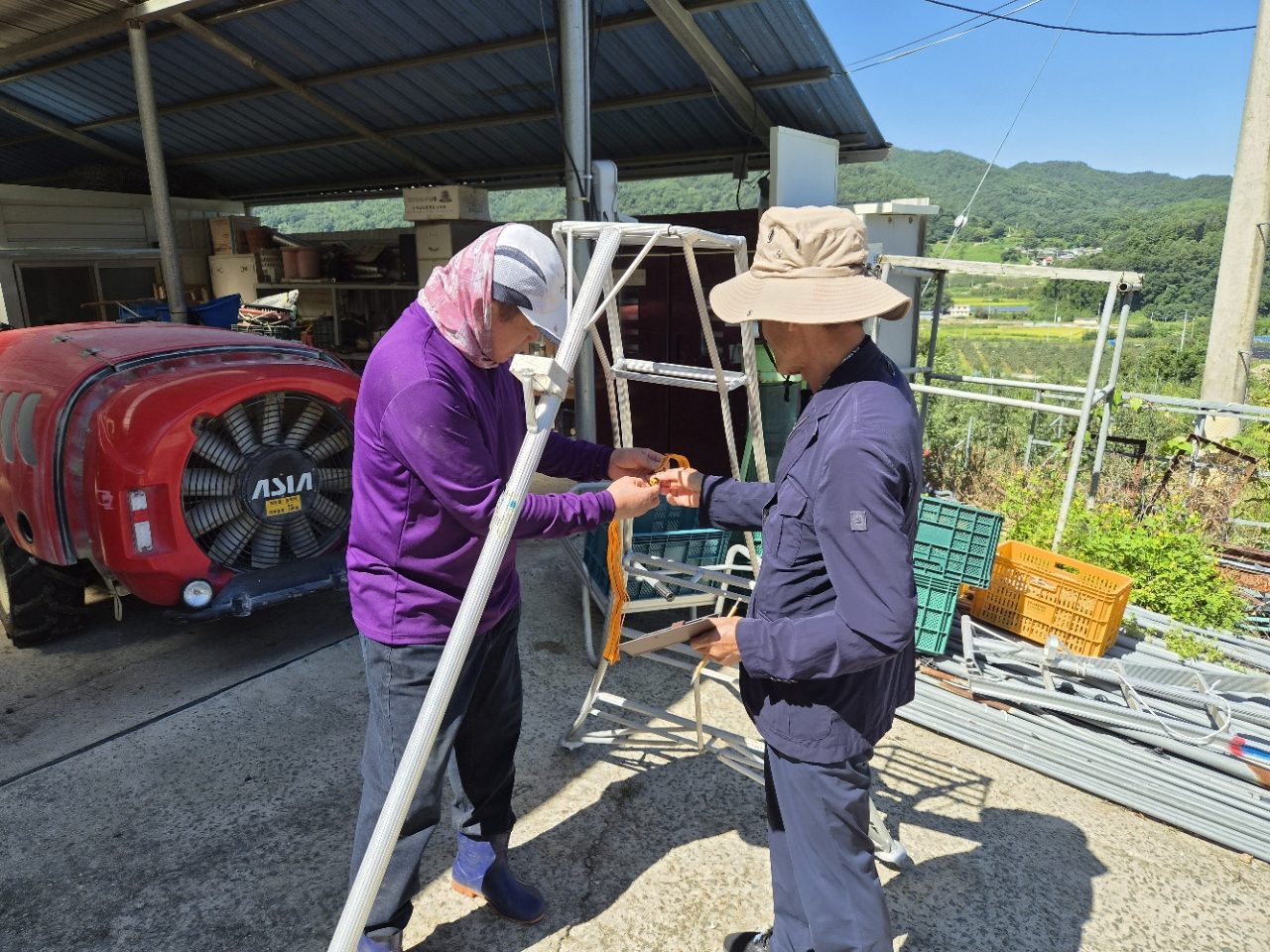 안동시, 과수 수확철 사다리 추락사고 예방 나선다
