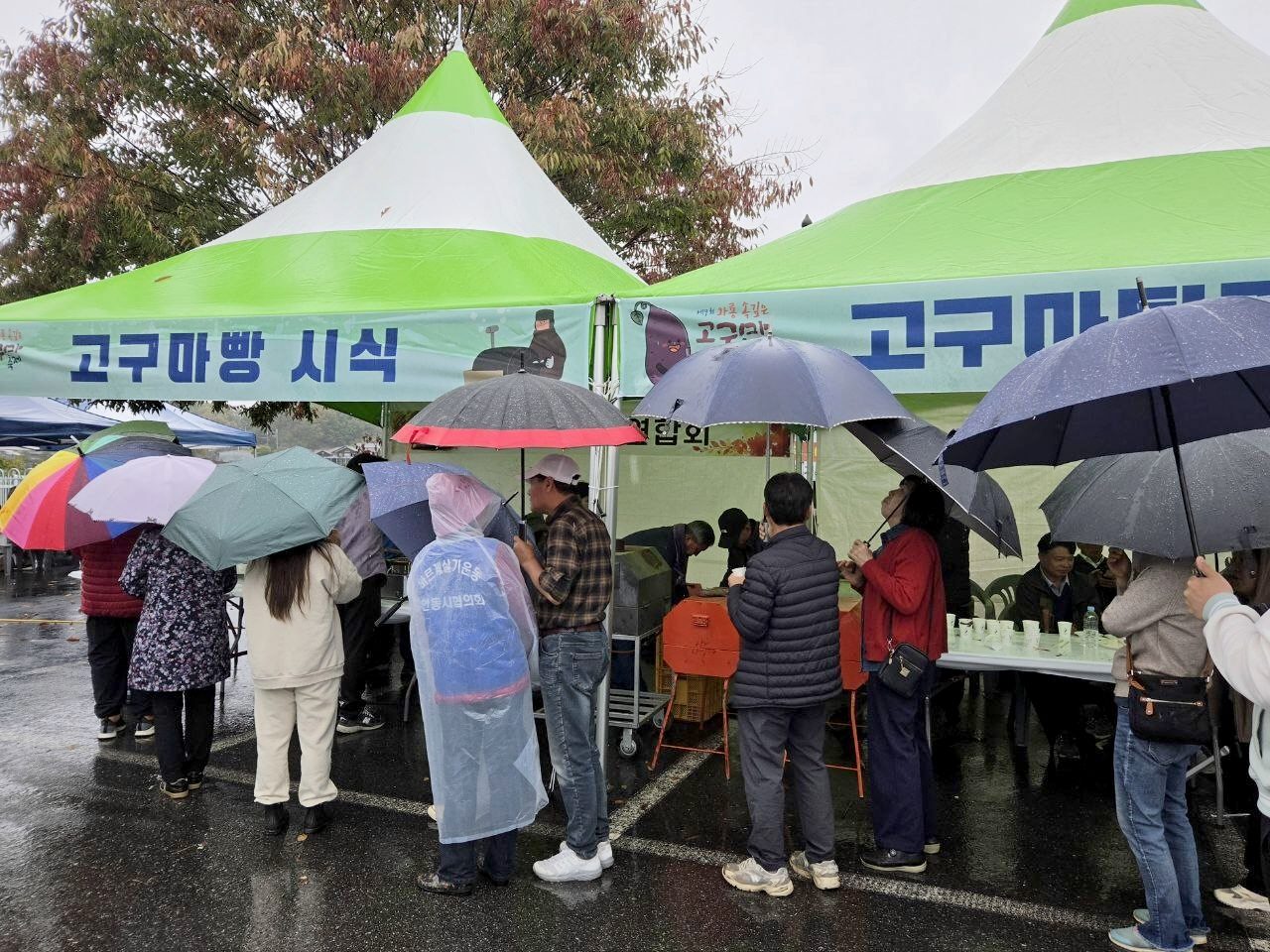안동시 제4회 와룡 속 깊은 고구마축제 개최